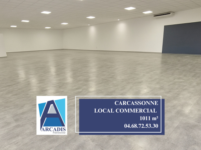 Vente Immobilier Professionnel Local commercial Carcassonne (11000)