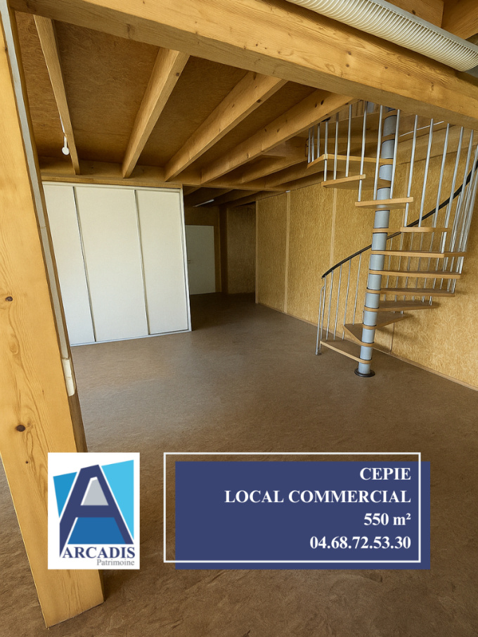 Location Immobilier Professionnel Local commercial Cépie (11300)