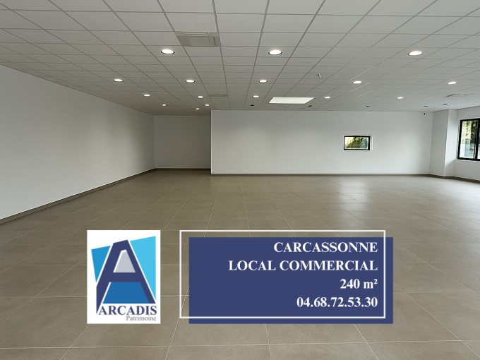 Location Immobilier Professionnel Local commercial Carcassonne (11000)