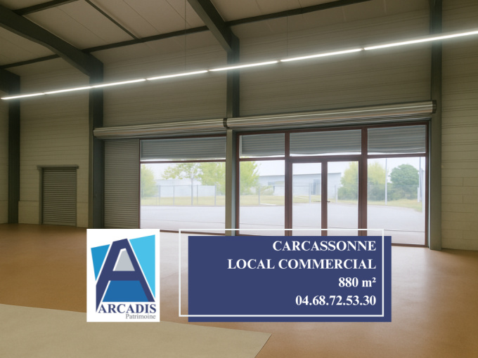 Vente Immobilier Professionnel Local commercial Carcassonne (11000)