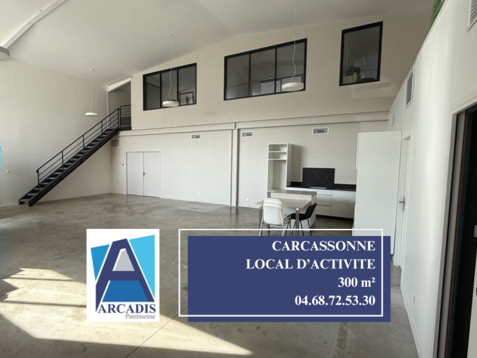 Vente Immobilier Professionnel Local d'activité Carcassonne (11000)